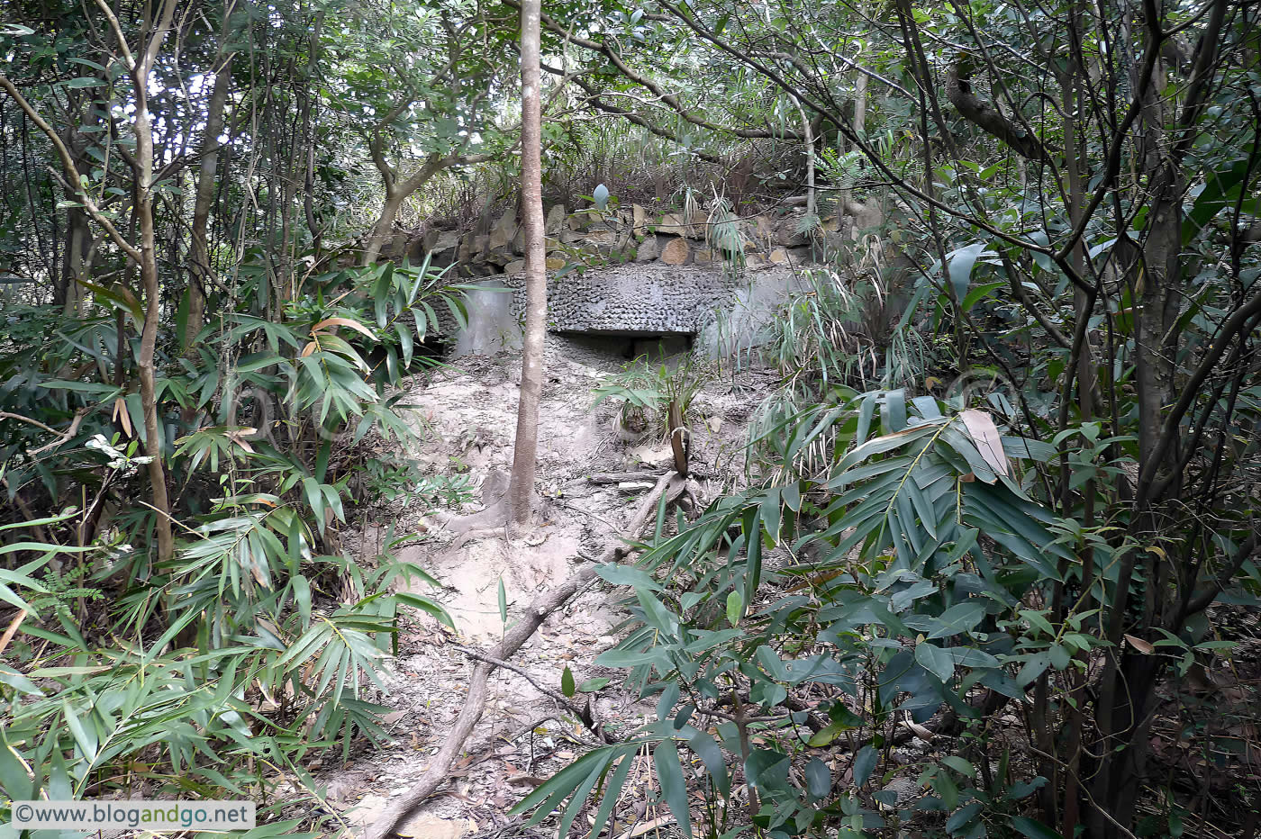 Wong Nai Chung - PB2 (JLO2)